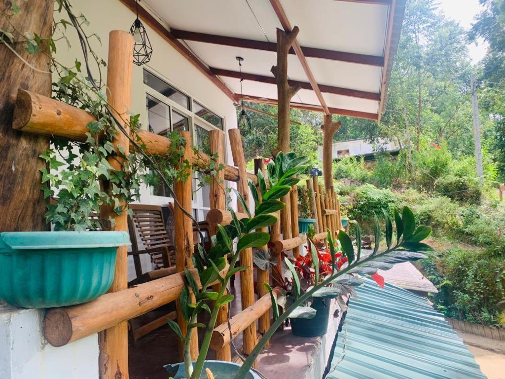 Ella Forest Eco View 外观 照片