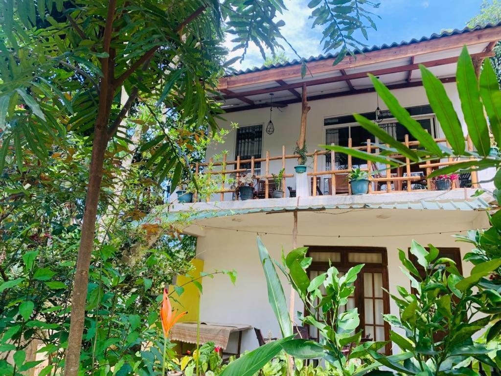 Ella Forest Eco View 外观 照片