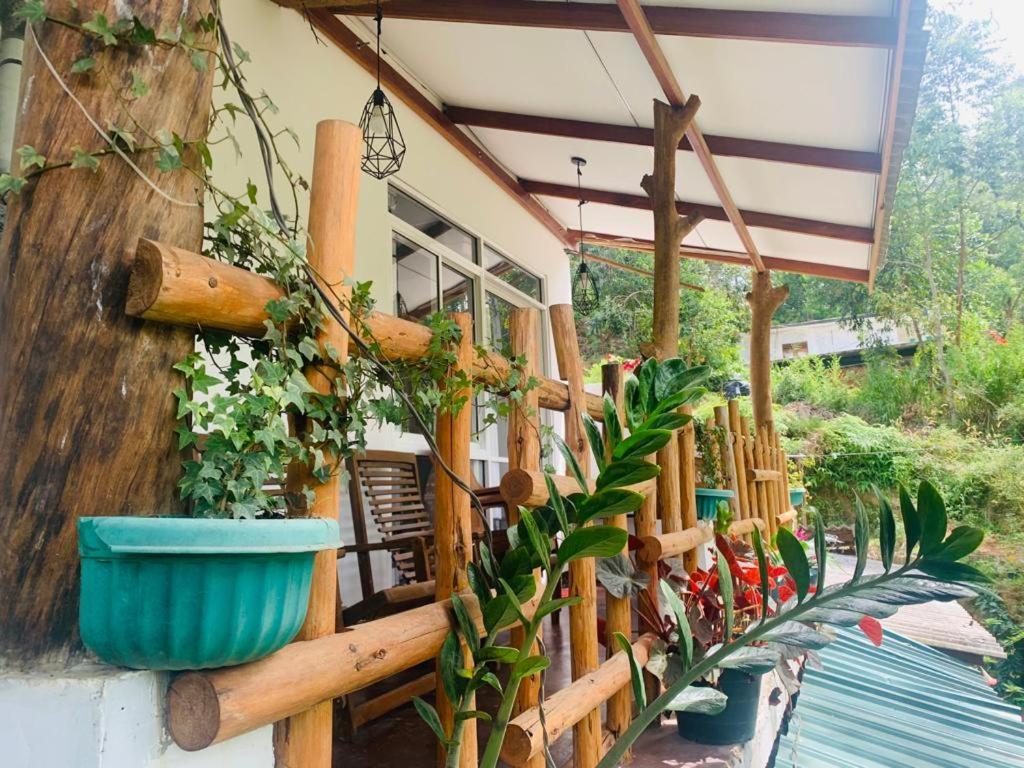 Ella Forest Eco View 外观 照片